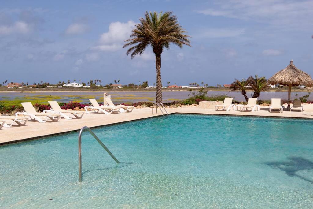 New! Cozy 1 Bedroom Condo- Gold Coast, Noord Aruba Palm Beach Ngoại thất bức ảnh