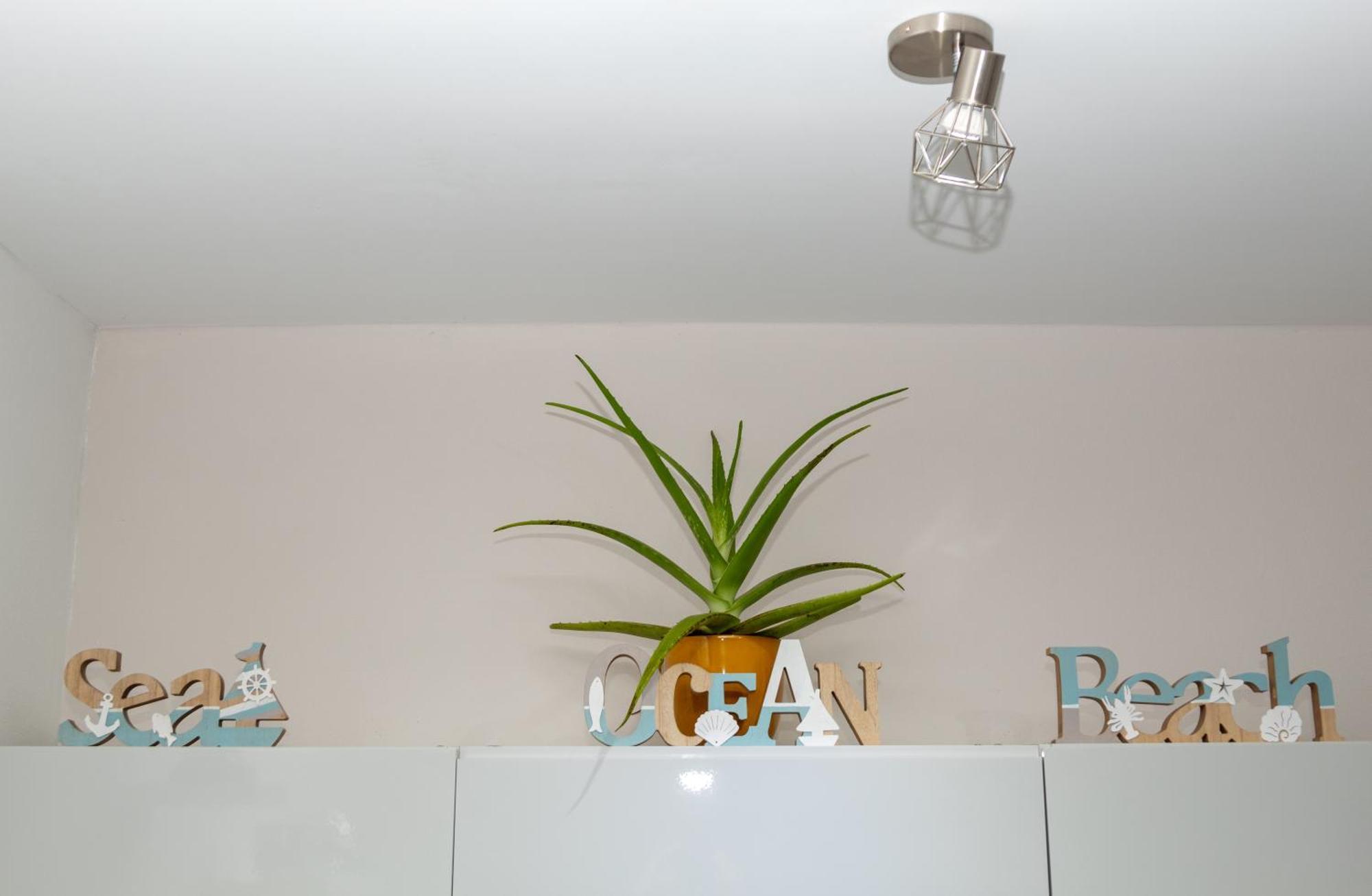New! Cozy 1 Bedroom Condo- Gold Coast, Noord Aruba Palm Beach Ngoại thất bức ảnh